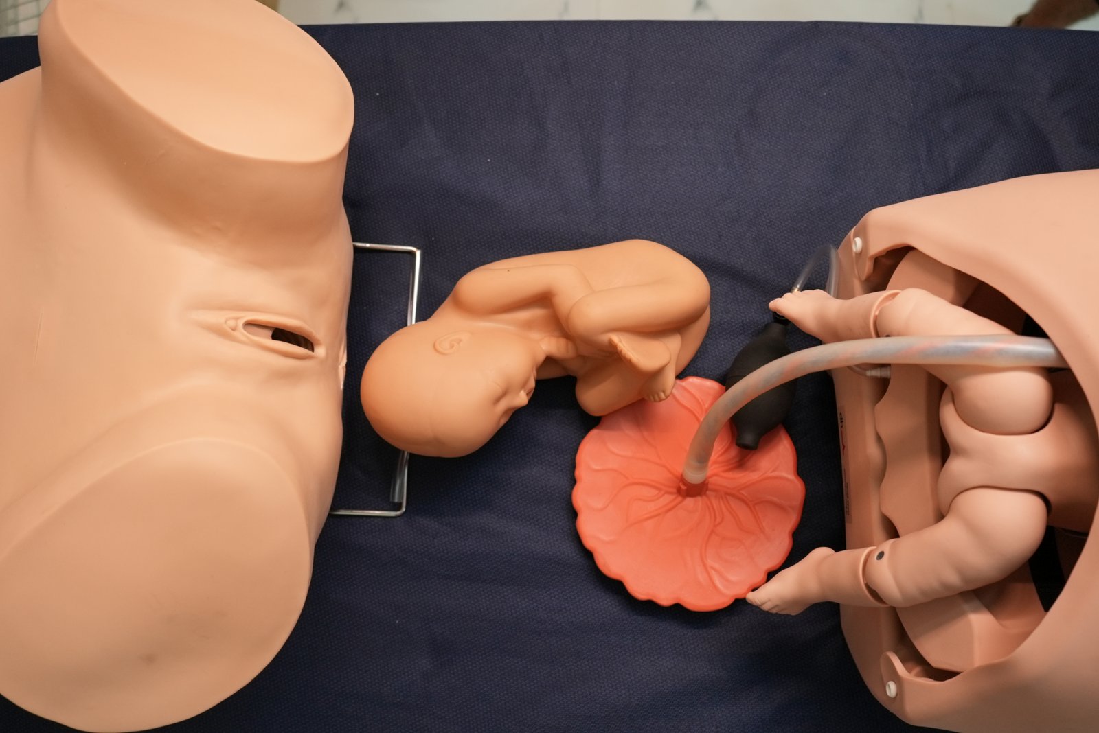 HANDS ON Medical Simulation Centre training gallery photo 15