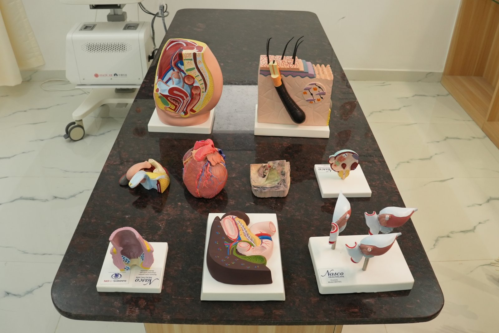 HANDS ON Medical Simulation Centre training gallery photo 26