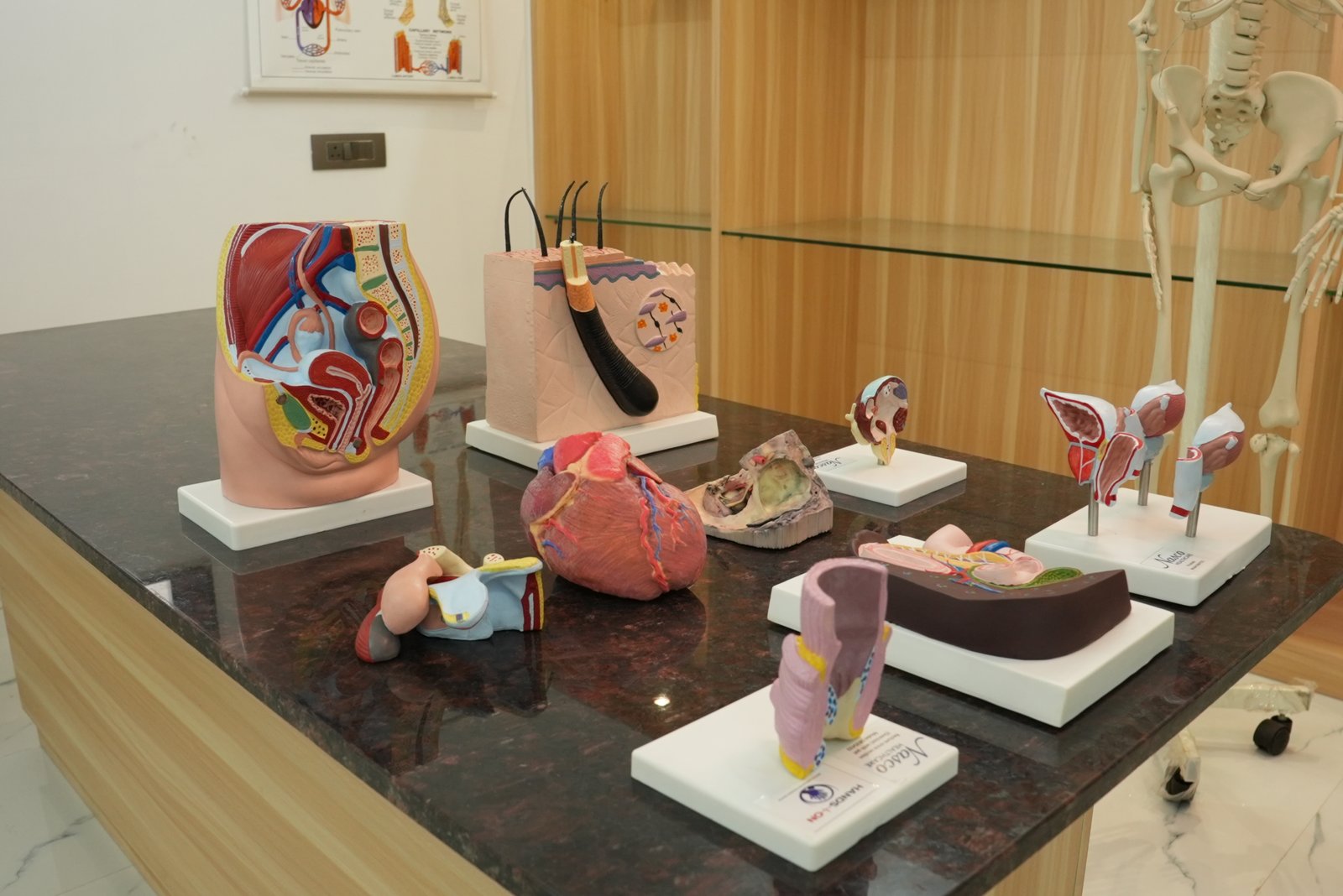 HANDS ON Medical Simulation Centre training gallery photo 27