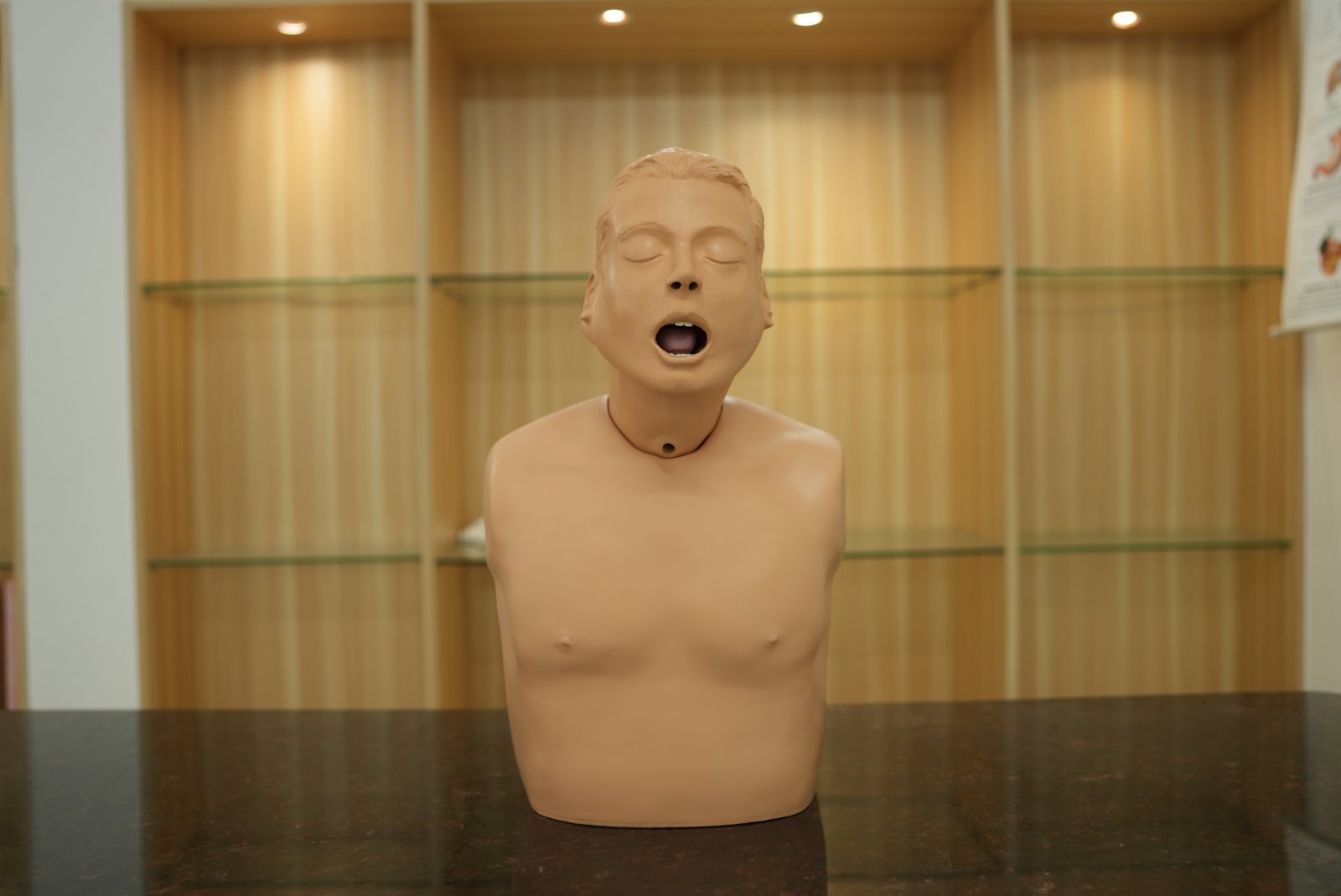 HANDS ON Medical Simulation Centre training gallery photo 57