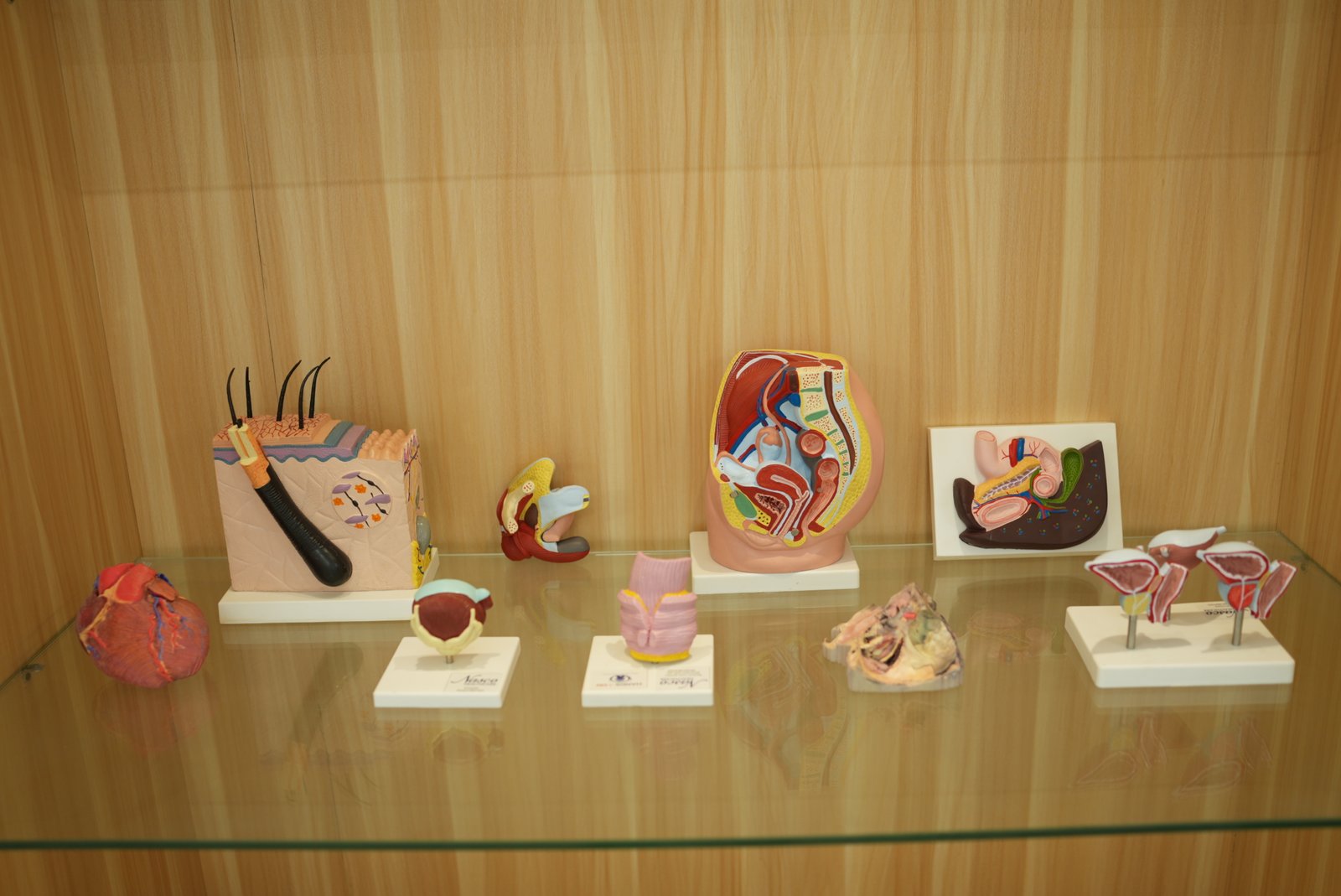 HANDS ON Medical Simulation Centre training gallery photo 59